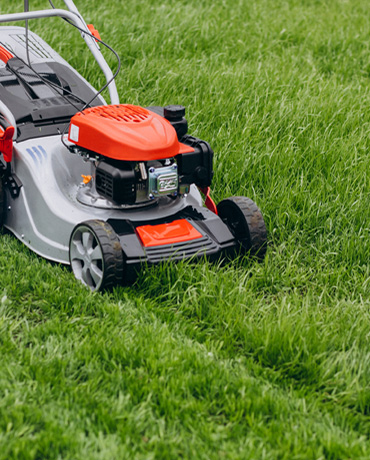 services-details-img4 Stunning image of a well-maintained yard after professional yard care services, exhibiting lush green grass.