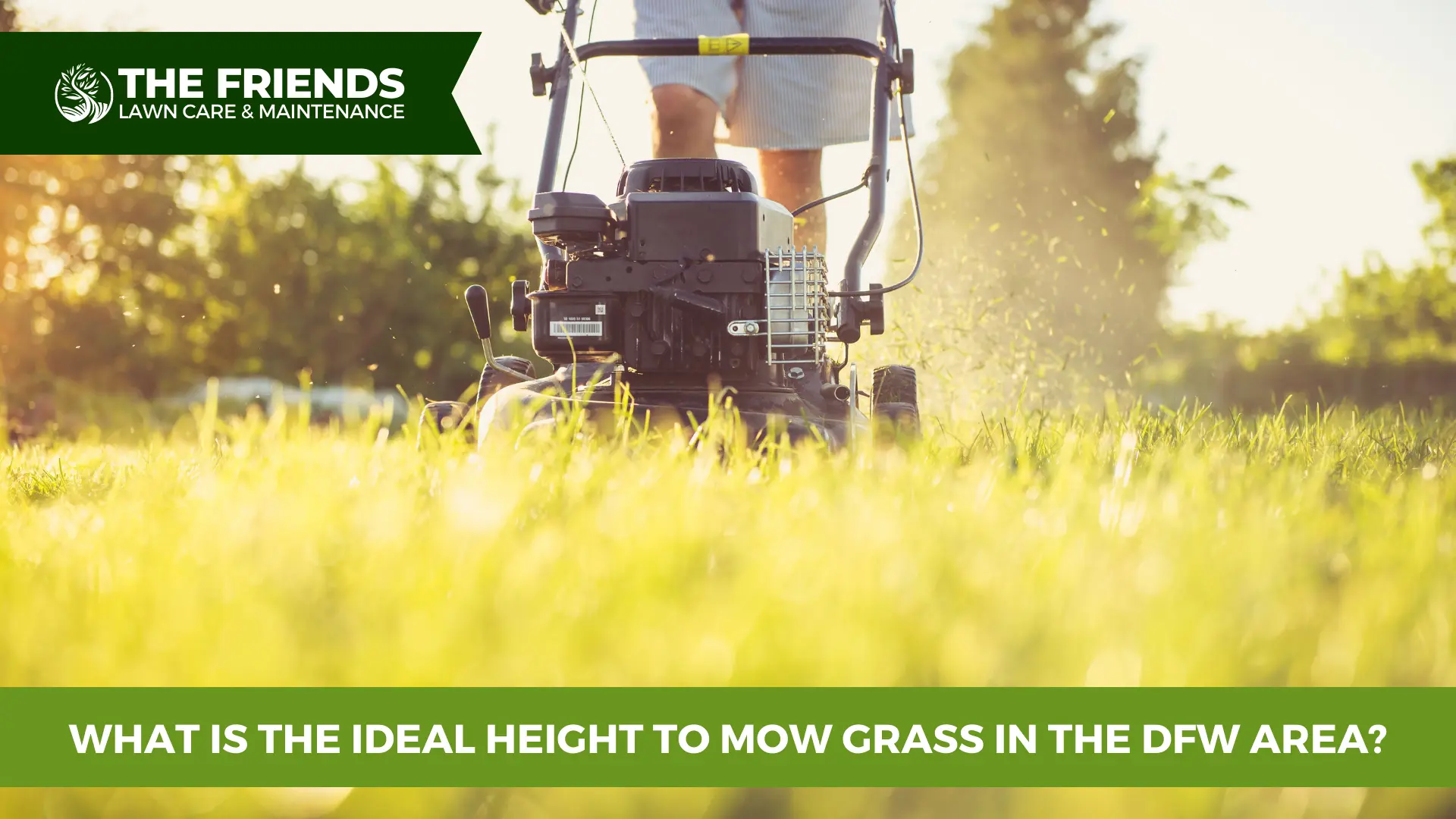 What is the Ideal Height to Mow Grass in the DFW Area?