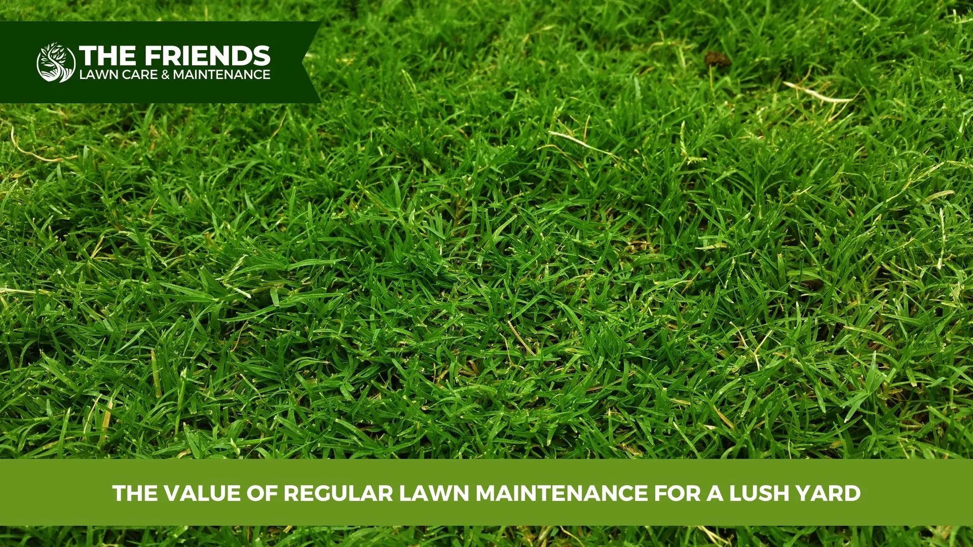 The Value of Regular Lawn Maintenance